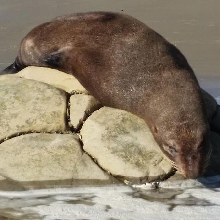 Moeraki Boulders Motel Hampden Exterior foto