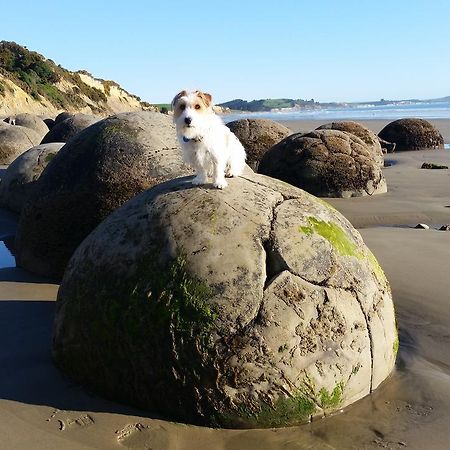 Moeraki Boulders Motel Hampden Exterior foto
