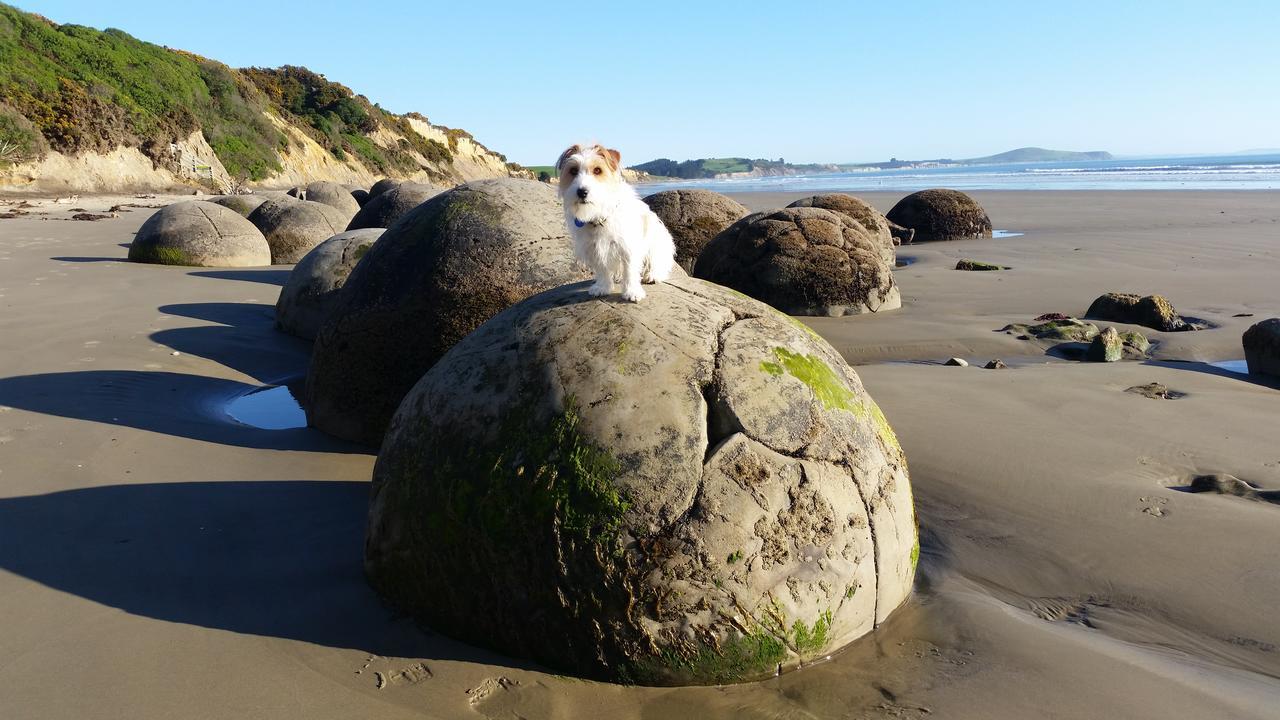 Moeraki Boulders Motel Hampden Exterior foto